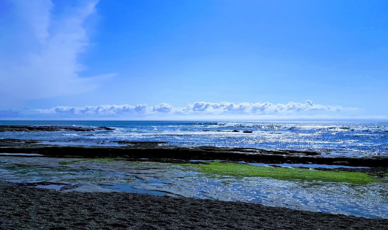 View of beach at Port Renfrew.