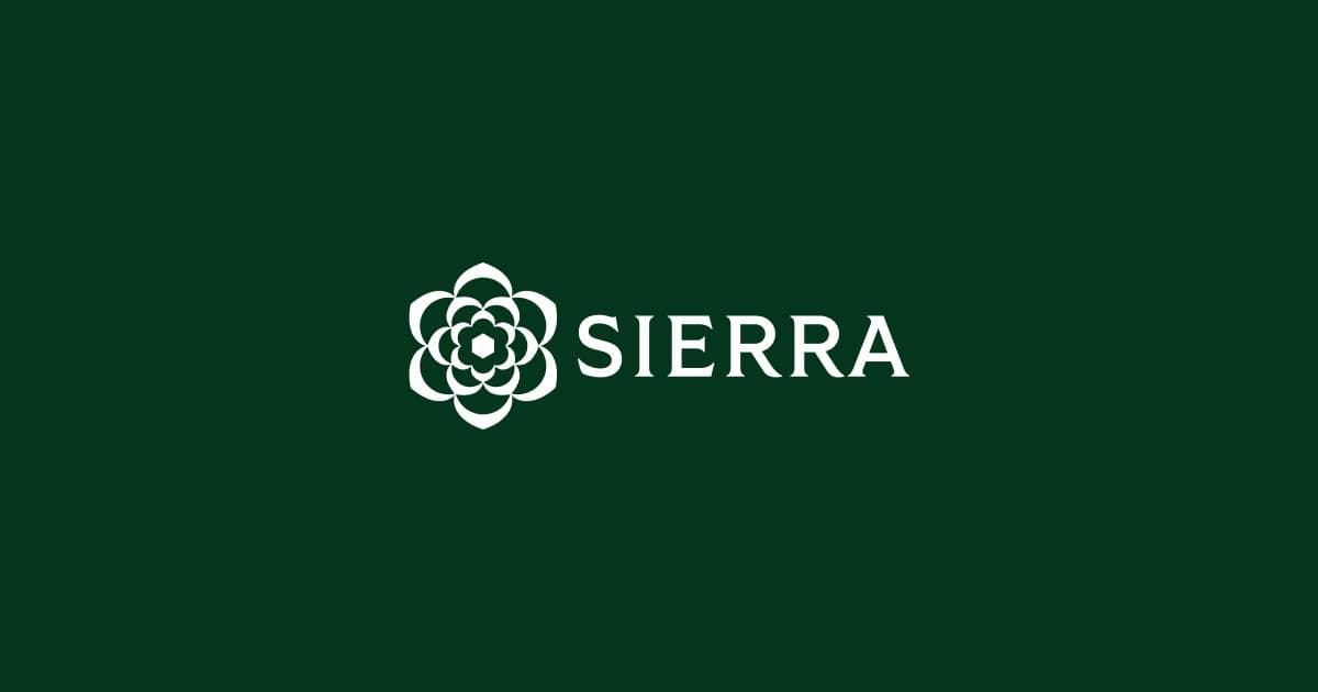 Sierra.AI: What It Is and Best Alternative [2025]