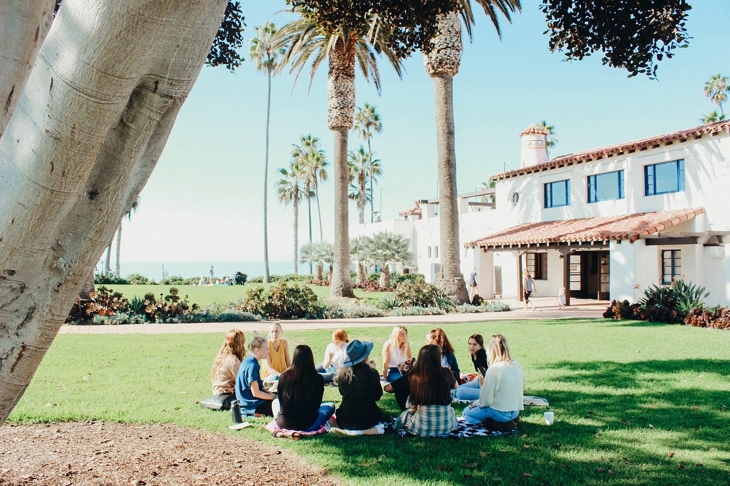 A group of people seated together in a circle under a tree A group of people seated together in a circle under a tree