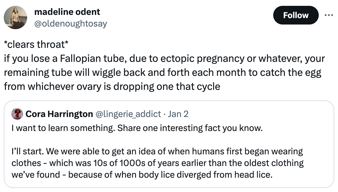  See new posts Conversation madeline odent @oldenoughtosay *clears throat* if you lose a Fallopian tube, due to ectopic pregnancy or whatever, your remaining tube will wiggle back and forth each month to catch the egg from whichever ovary is dropping one that cycle Quote Cora Harrington @lingerie_addict · Jan 2 I want to learn something. Share one interesting fact you know.   I’ll start. We were able to get an idea of when humans first began wearing clothes - which was 10s of 1000s of years earlier than the oldest clothing we’ve found - because of when body lice diverged from head lice.