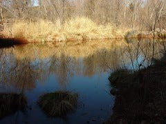 DSC00007 DSC00007