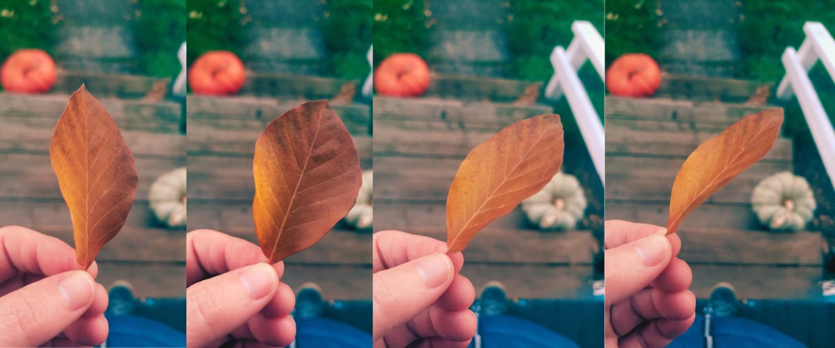 A series of four photos shows Sarah's hand twirling a bright orange leaf that seems to slightly change colors.