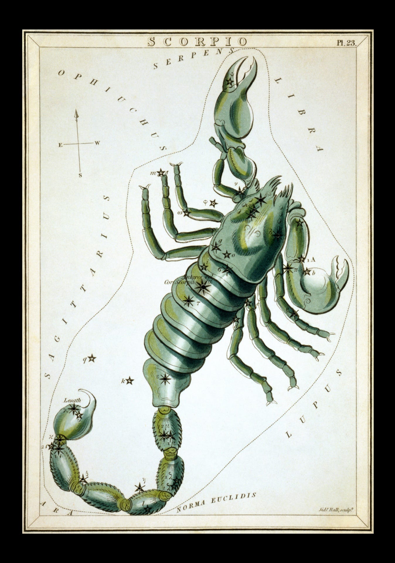 Scorpio vintage zodiac sign constellation art print