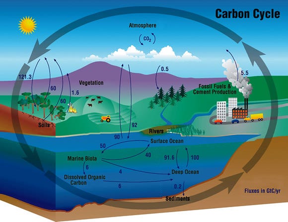 Carbon Cycle | The annual flux of CO2 in GigaTons (Gt) or bi… | Flickr
