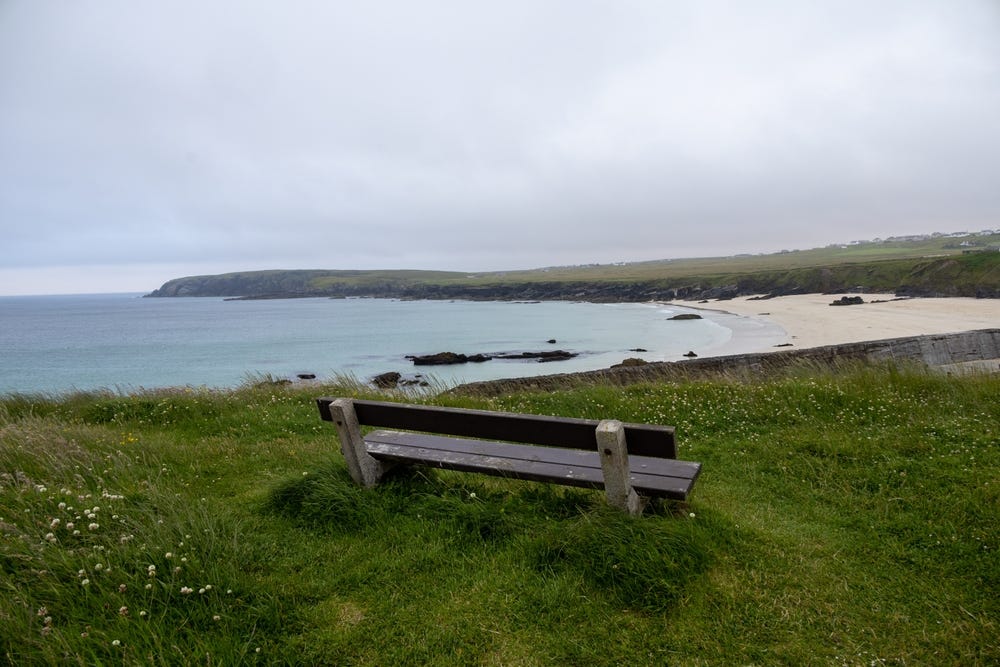 May be an image of grass and the Carrick-a-Rede Rope Bridge