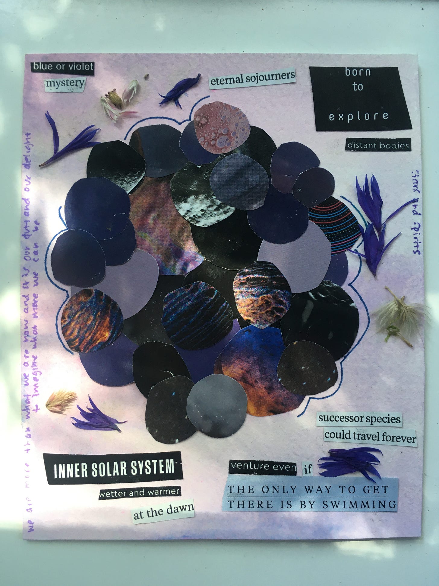 collage of "blackberry" made from space-themed cutout circles, surrounded by purple-and-white plant matter on a purple background. texts read: "blue or violet mystery," "eternal sojourners born to explore distant bodies," "inner solar system wetter and warmer at the dawn," "successor species could travel forever," "venture even if the only way to get there is by swimming"