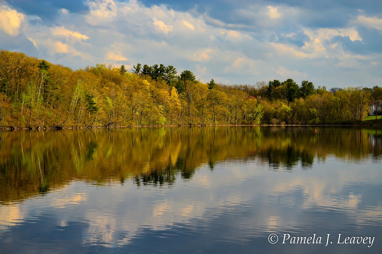 May be an image of body of water and nature