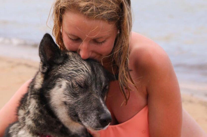 Snort the agouti Siberian husky on the beach of Lake Michigan with her owner Haley