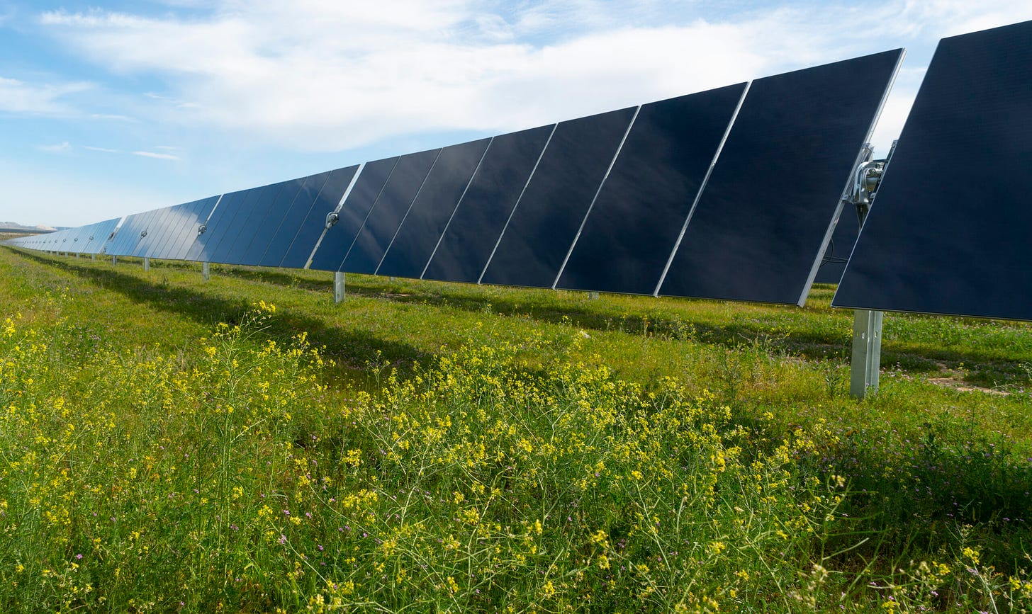 Wild Springs Solar Project - National Grid Renewables