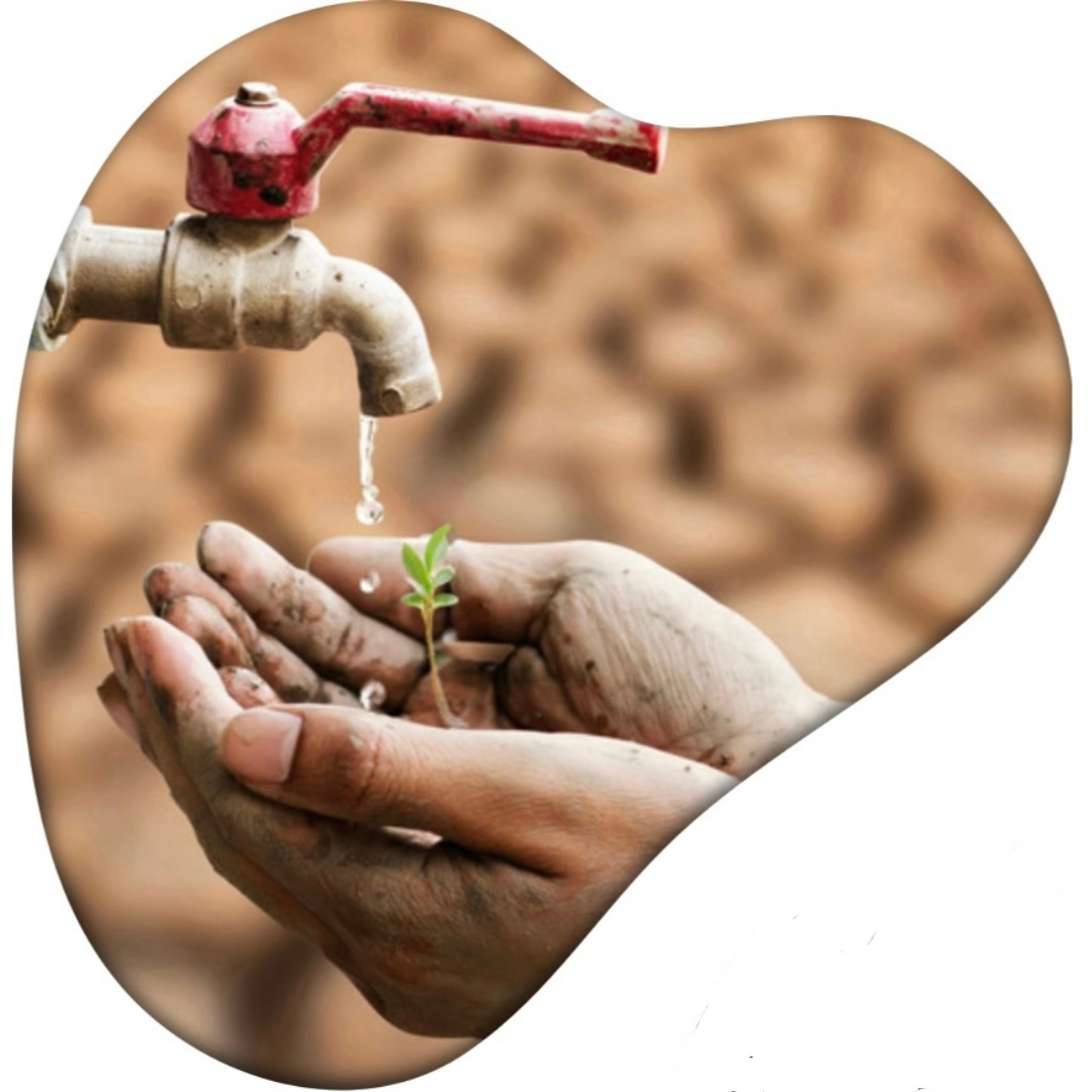 Hands cupped to catch dripping water in parched desert. A plant is growing in the hands