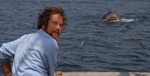 Why Hooper Is The Best Character In Jaws — The Daily Jaws