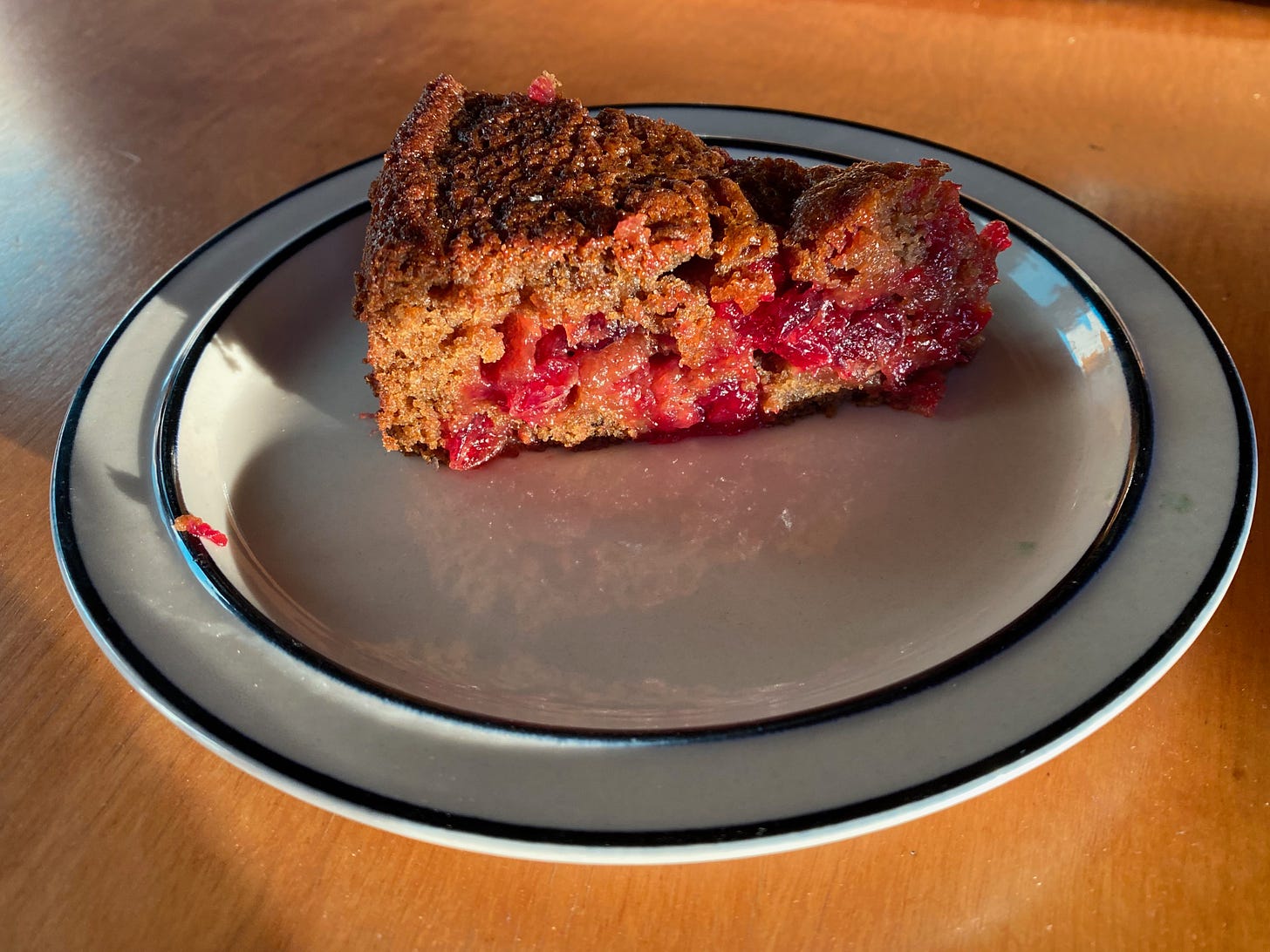 A slice of gingerbread full of bright red cranberries sits on a ceramic plate on a sunny table.