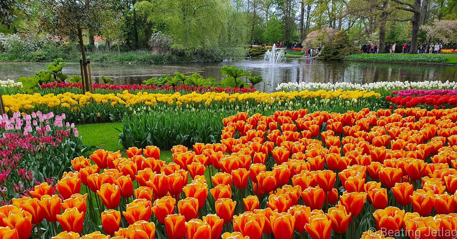 Keukenhof during the tulip season in Netherlands