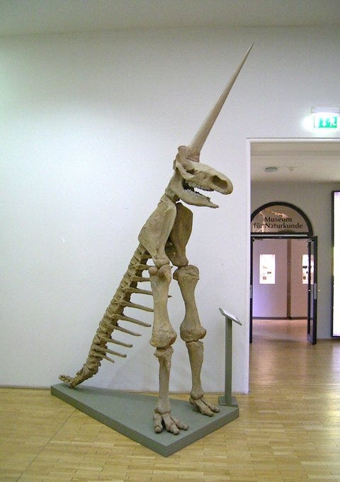 A ridiculous bipedal skeleton with a massive narwahl’s horn and a bony tail displayed in a museum.