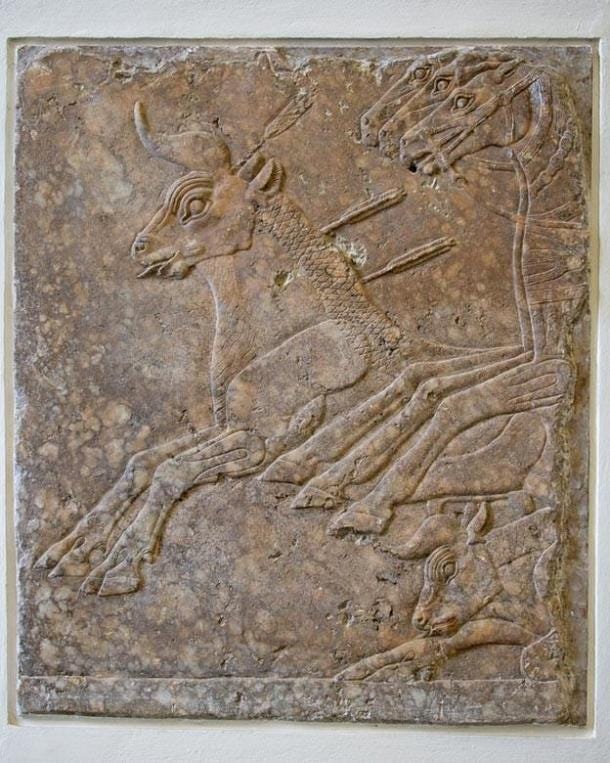 Sección refinada de bajo relieve de un friso de caza de toros de Nínive, alabastro, c. 695 a.C., (CC BY 3.0)