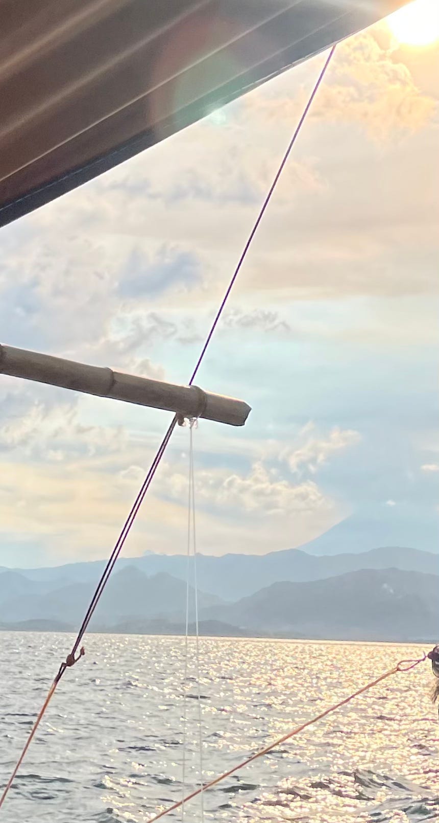 The lights by Bianca some ordinary days