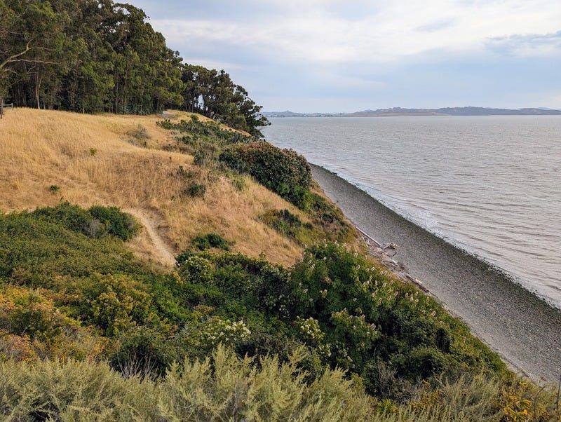 Photo of the California coastline with the bay, a gray sand beach, a hill with yellow dry grass and green trees above.