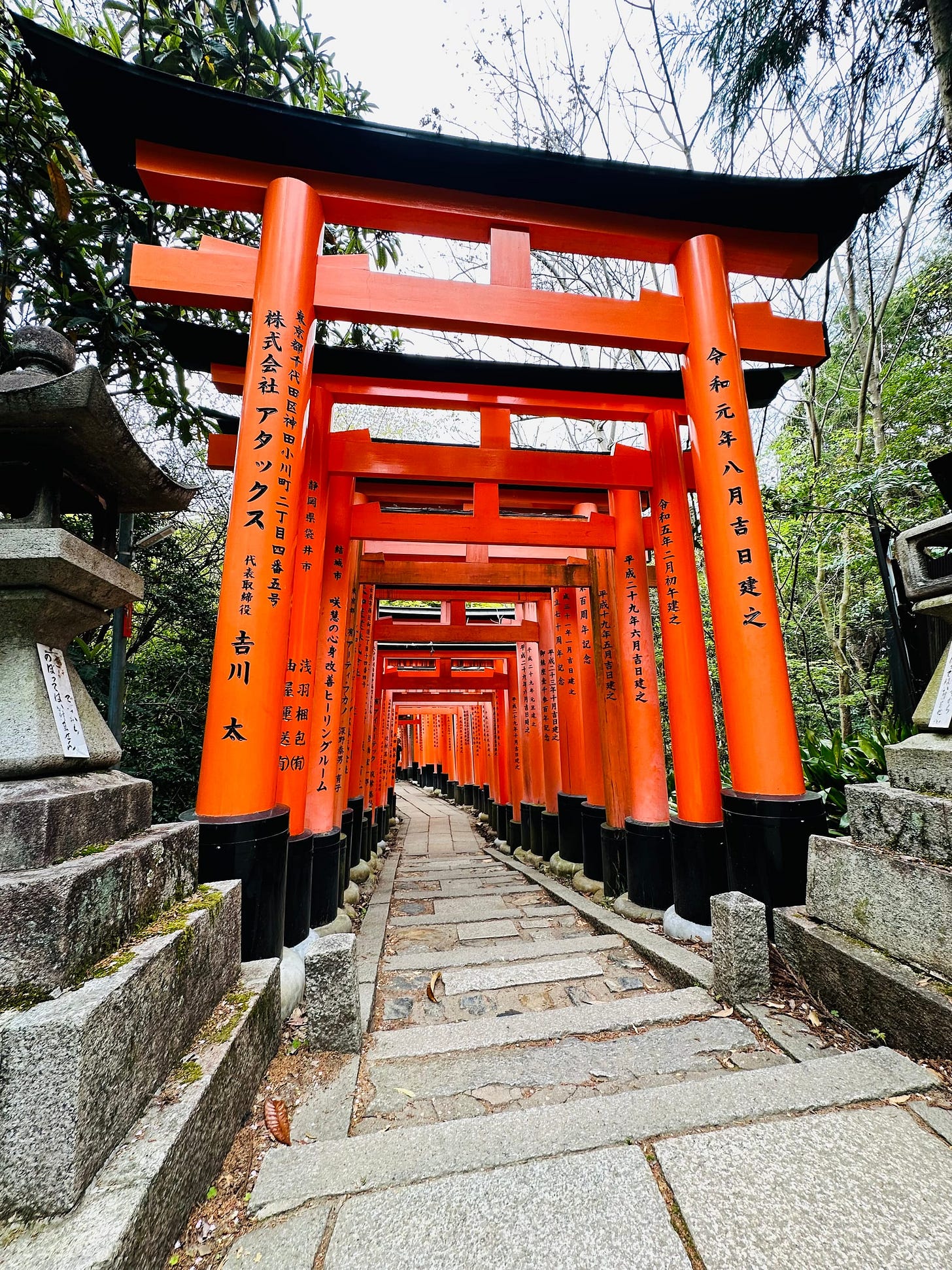 Musings from Japan