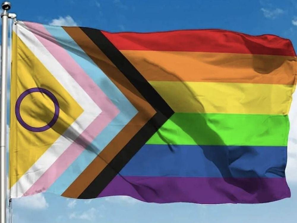 Confira as novas cores da bandeira LGBTQIAPN+ | Simple Organic