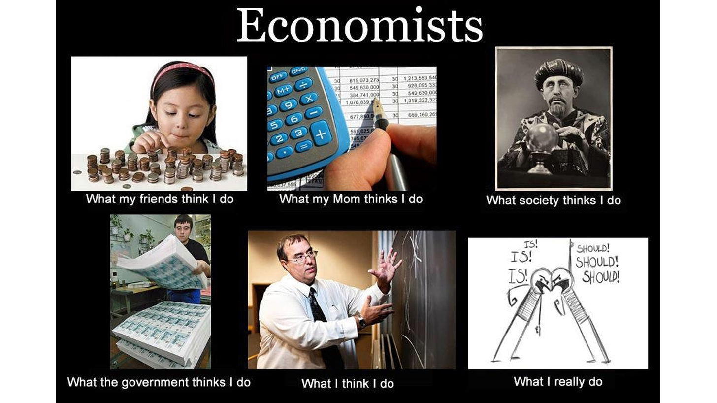 Economists: what people think I do