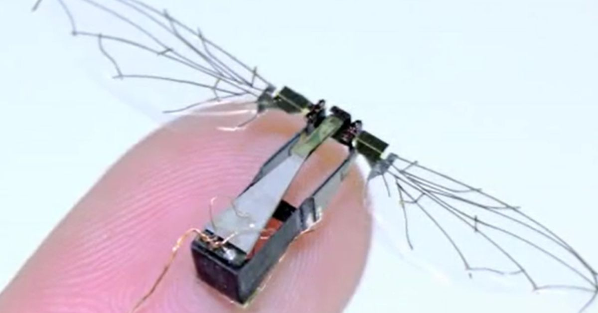 Micro air vehicles: Tiny drones with fluttering wings developed by US Air  Force