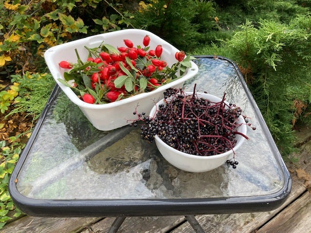 large square dish of red rosehips and a smaller round bowl of black elderberries on a patio table