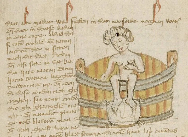 The rebirth of fertility: the Trotula and her travelling companions c.  1200-1450 - Medievalists.net