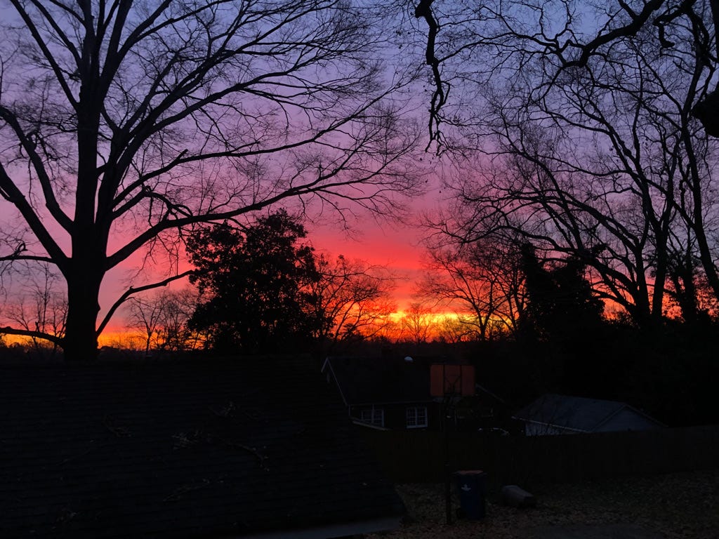A blue, purple, pink, orange and yellow sunrise in winter. The outline of oak trees and their bare branches is visible.