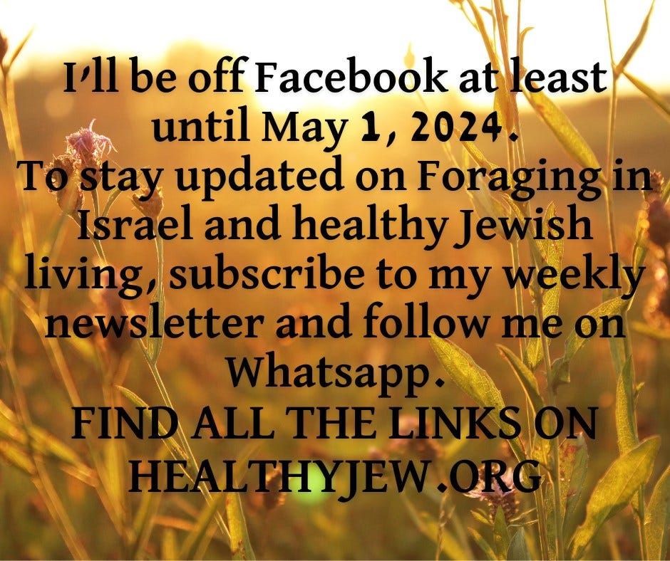 May be an image of text that says "I'll be off Facebook at atleast until May 1, 2024 Te tay updated on Foragingin Israel and healthy Jewish living, subscribe to my weekly nev sletter and follow me on Whatsapp. ALL L THE"