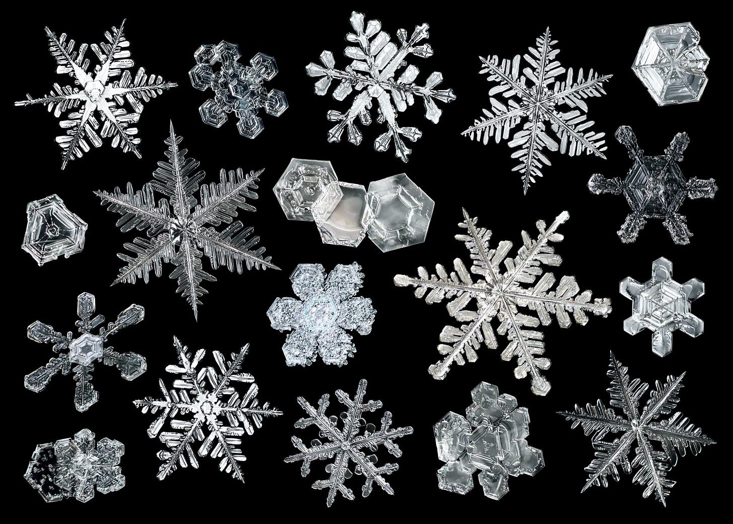 Curious Questions: Are snowflakes really all unique? - Country Life