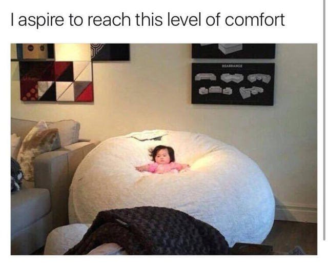 I aspire to be this level of comfort : r/funny
