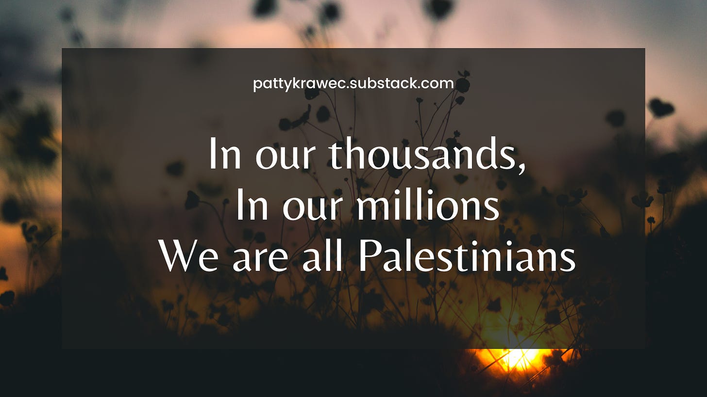 out of focus wildflowers against a rising sun. text says in our thousands in our millions we are all Palestinians.  pattykrawec.substack.com