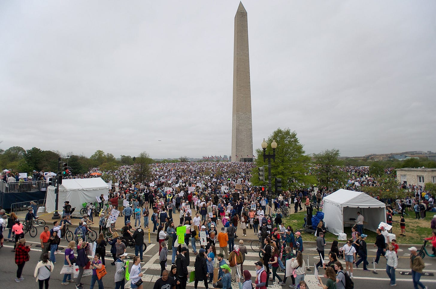 washington DC protest; many people in front of the Washington monument washington DC protest; many people in front of the Washington monument