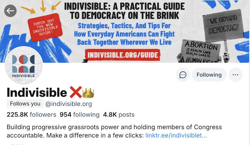 Image of the top of Indivisible's Twitter account with a red x and a crown following the name Indivisible