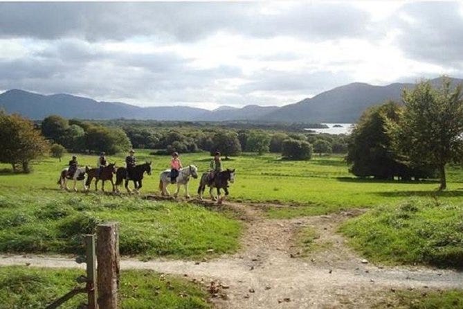 Killarney National Park Horseback Ride Co Kerry Guided 1 hour