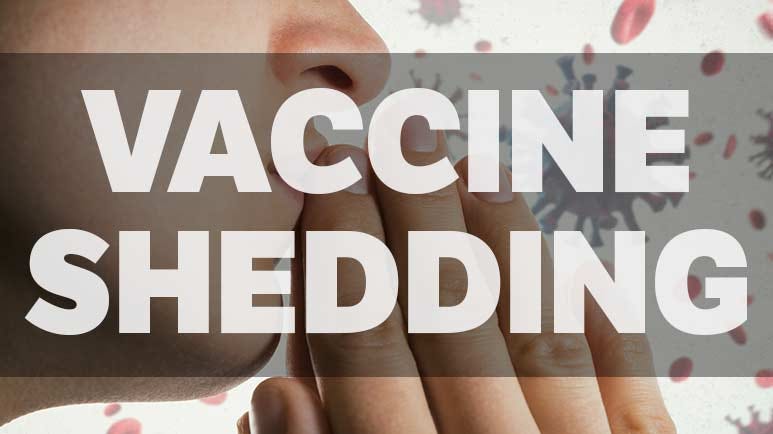 mrna vaccine shedding evidence