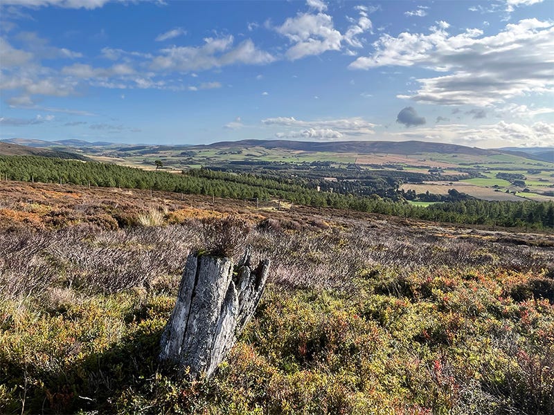 Expansive views over Lumsden and its valley setting from Clova Hill