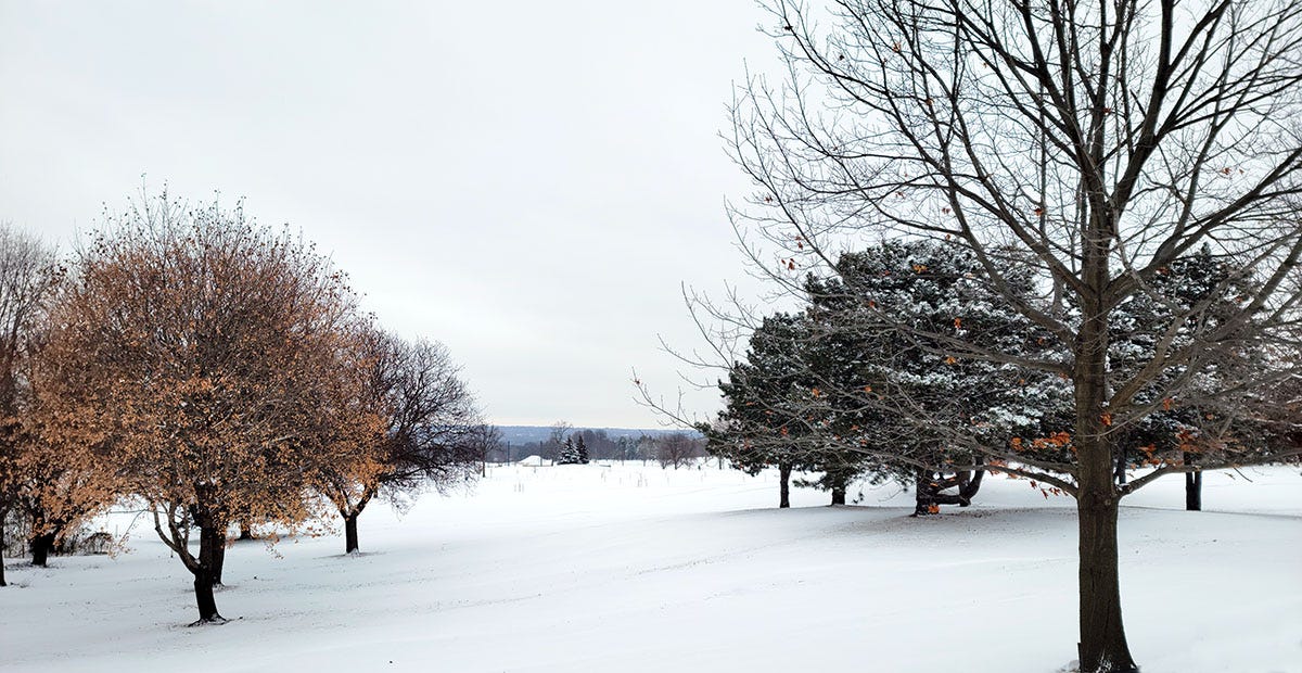 A neighborhood park blanketed in snow. 