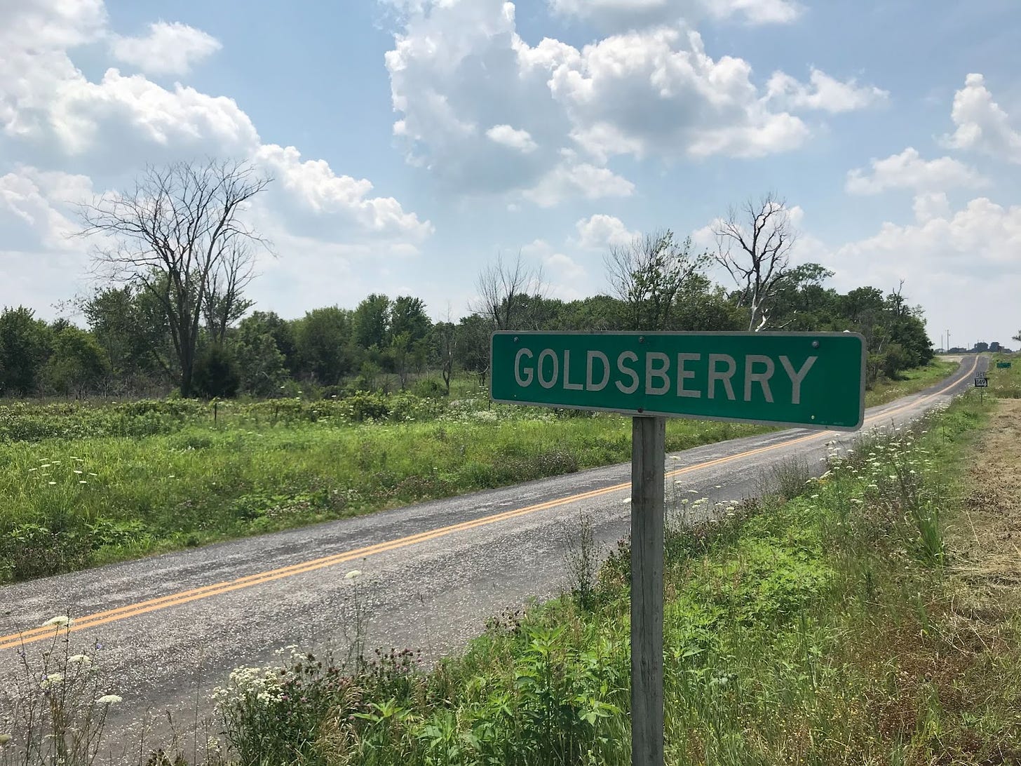 A green roadsign says "GOLDSBERRY." It stnads on an empty road, crowded on all sides by weeds.