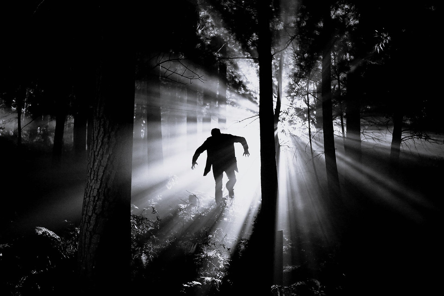 Eerie photo of a man lurching through the woods at night, with a scatter of light behind him.