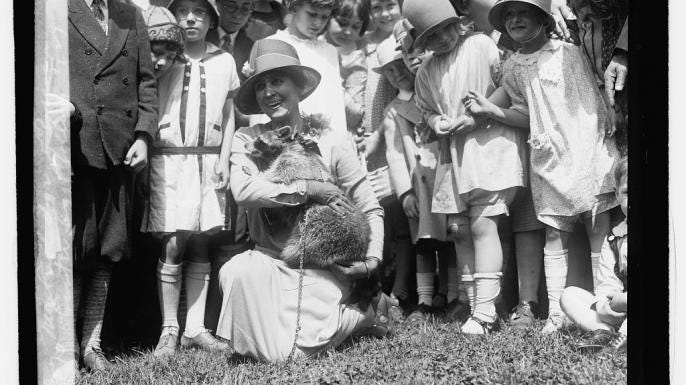 The Thanksgiving Raccoon That Became a Presidential Pet | HISTORY