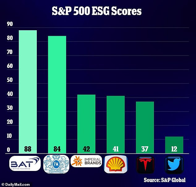 Elon Musk slams S&P Global ESG scores for giving Malboro a HIGHER  investment rating than Tesla | Daily Mail Online