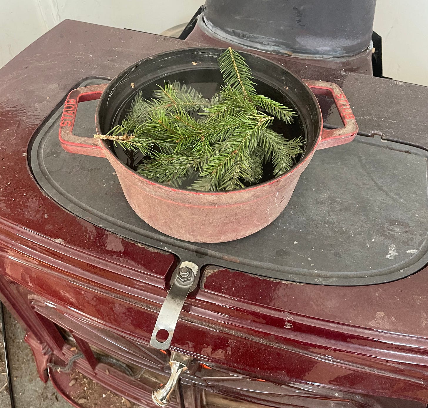 spruce tips in a red pot on a red woodstove
