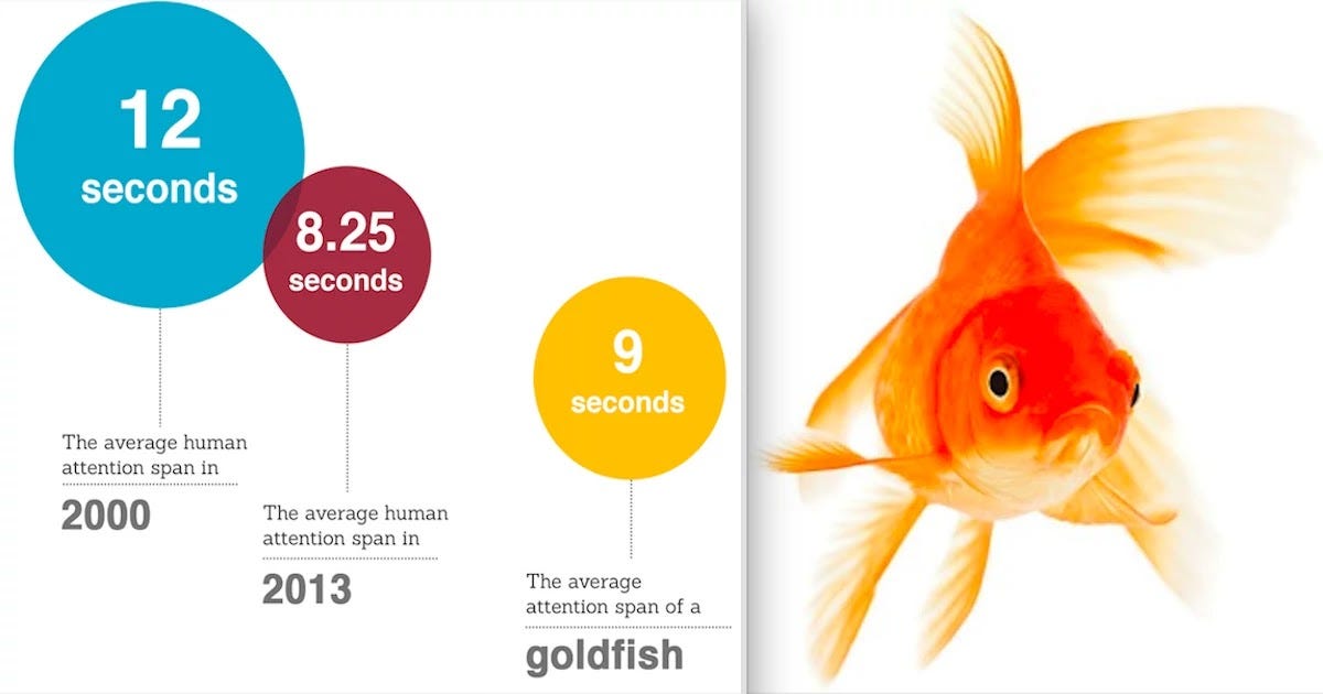 Microsoft Study Reveals: Human Attention Span Is Now Shorter Than Goldfish
