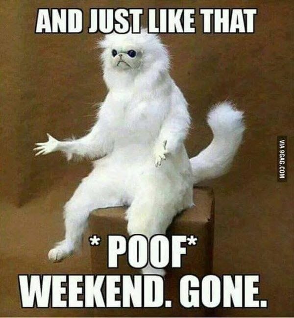 100 Funny Monday Memes To Start Your Week Right - SayingImages.com