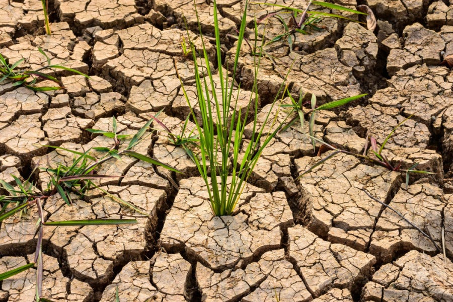 Drought, land and livelihood