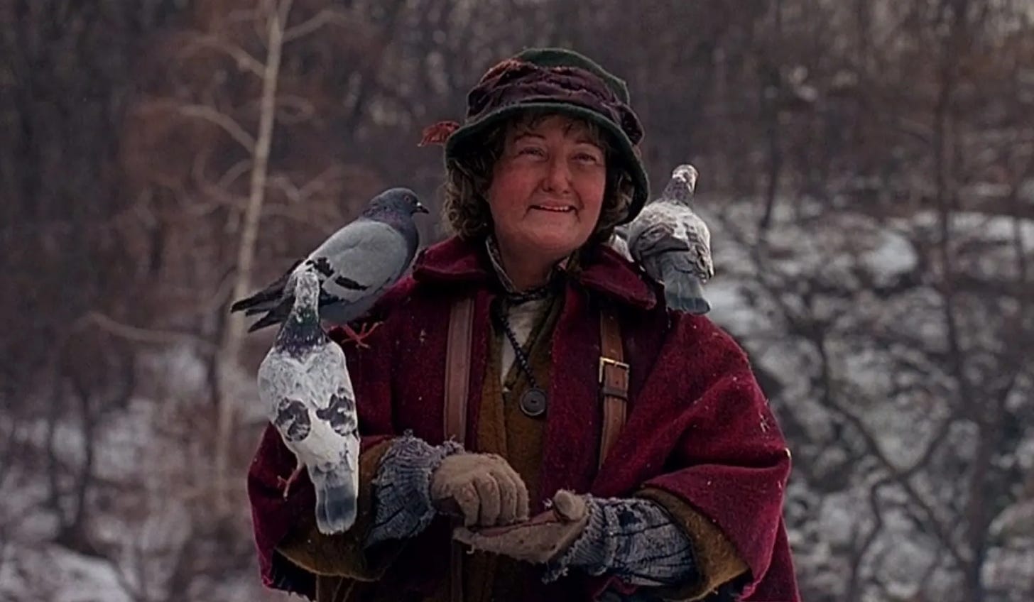 The Pigeon Lady in Home Alone 2: Lost In New York.