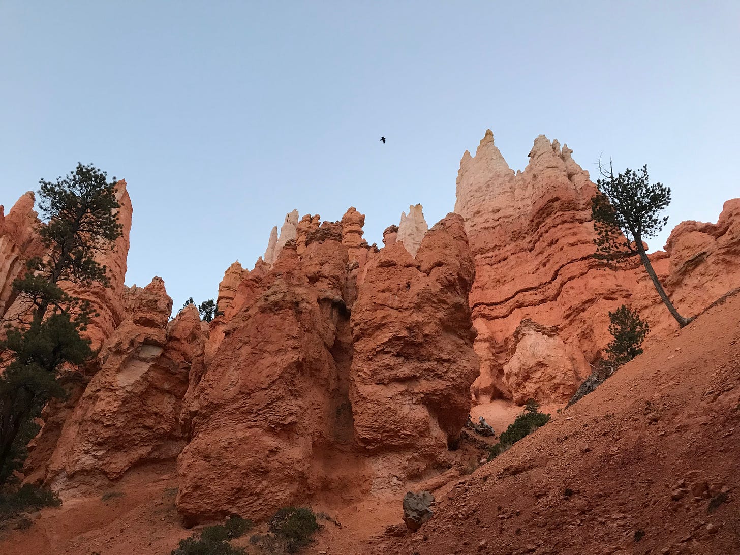 A zoomed-in view of some pink limestone spires along the Claron Formation in Bryce Canyon, Utah.