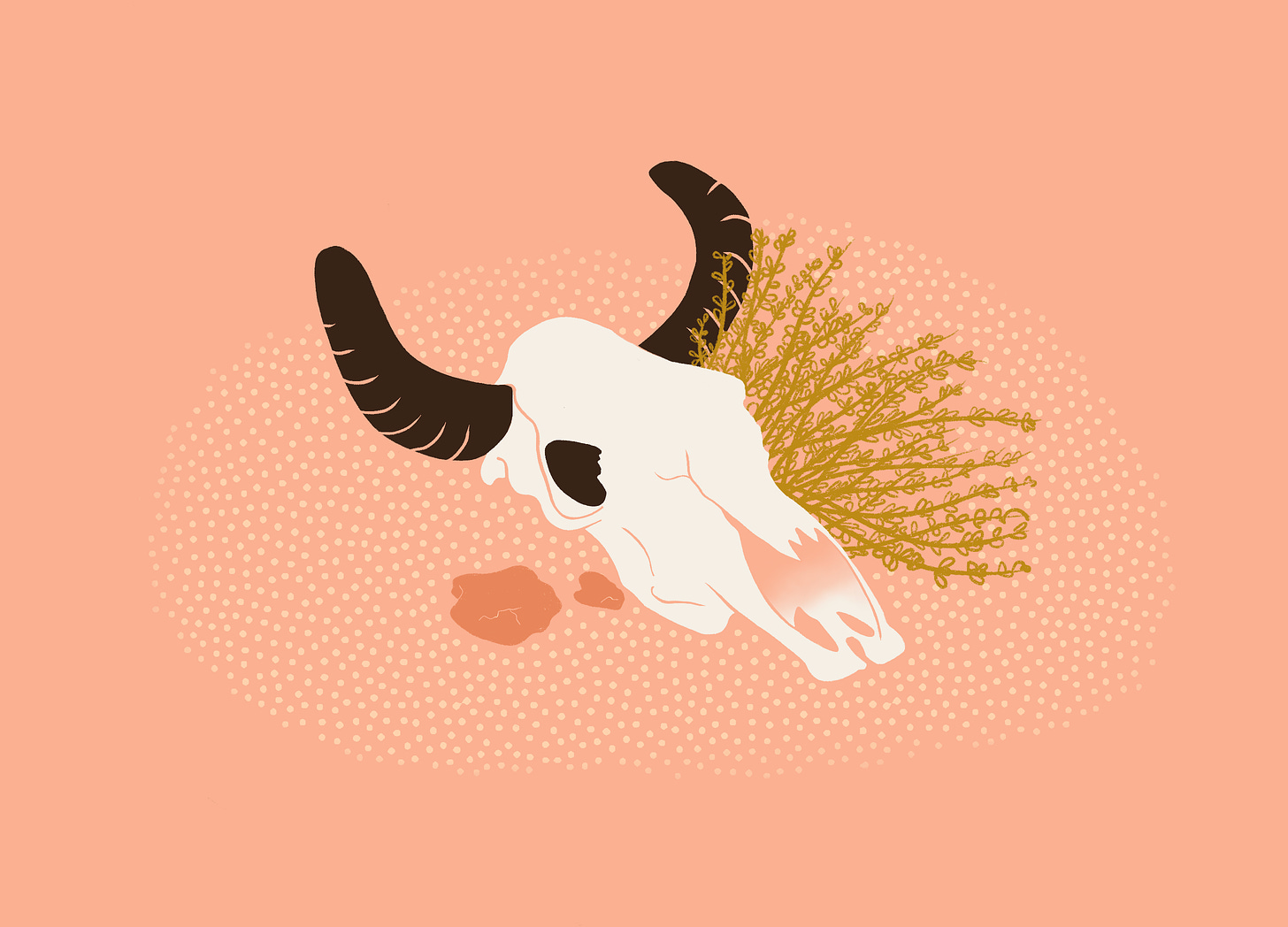 an illustration by Alexandra Tinsley featuring a cow skull and some desert brush