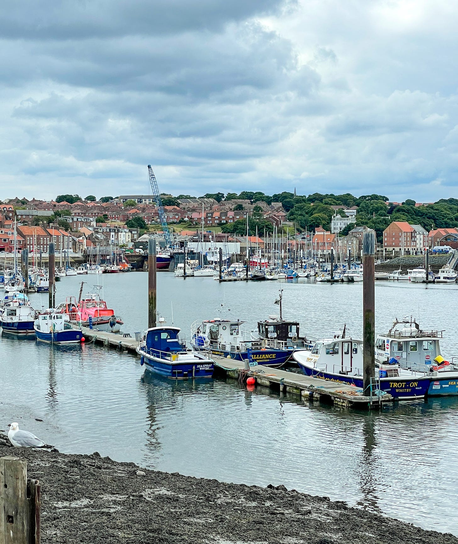 Whitby Harbor, Yorkshire